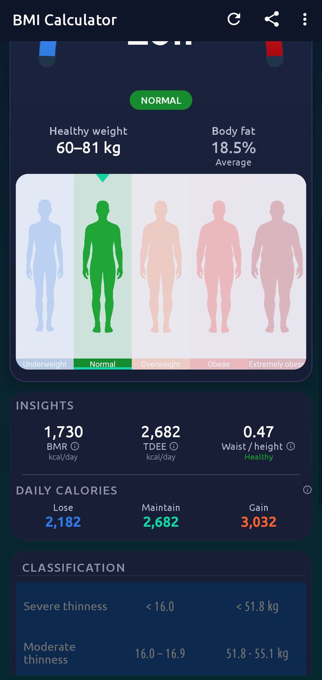 Insights panel showing BMR, TDEE, waist-to-height ratio and daily calorie targets