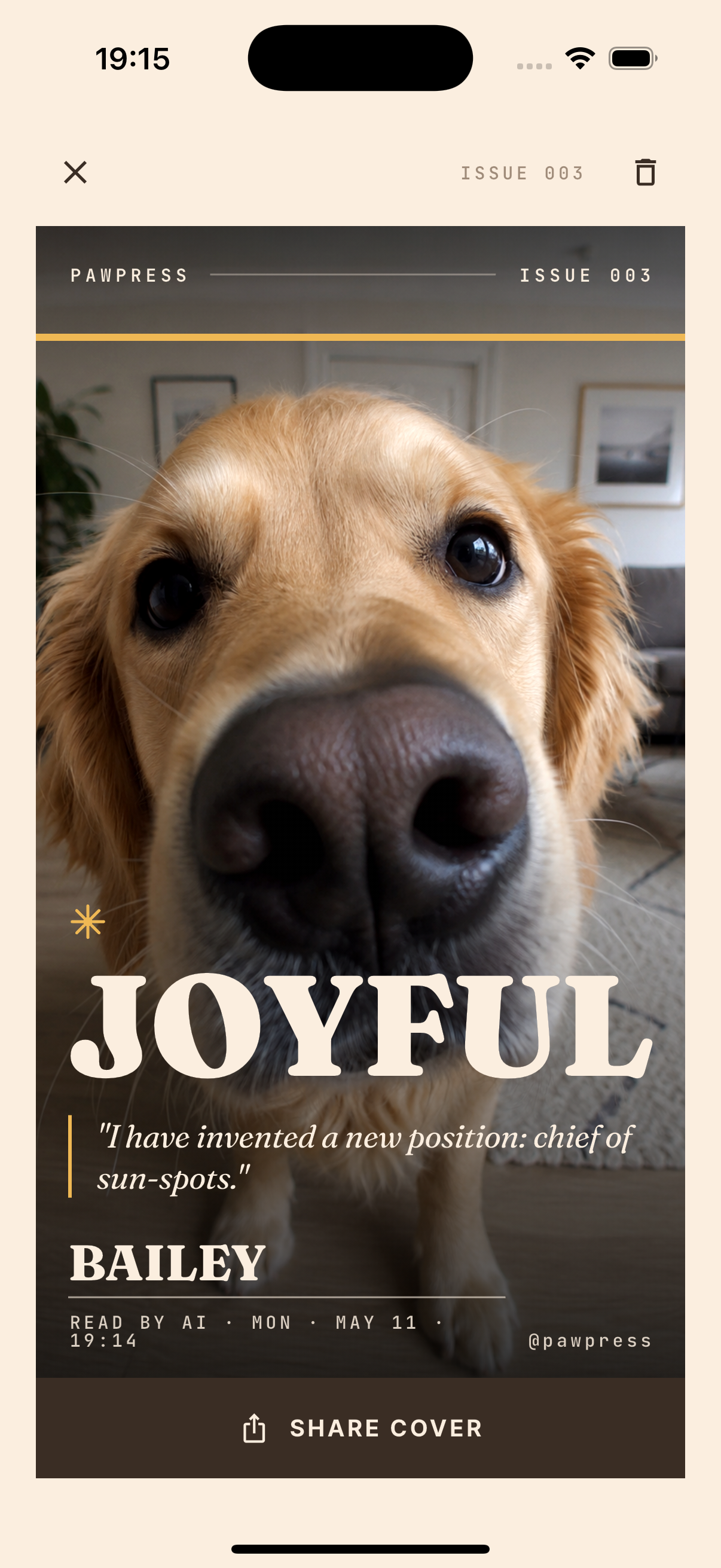 Pawpress joyful cover featuring Bailey