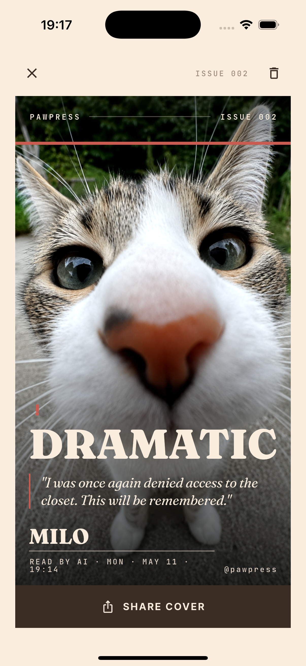 Dramatic — cat
