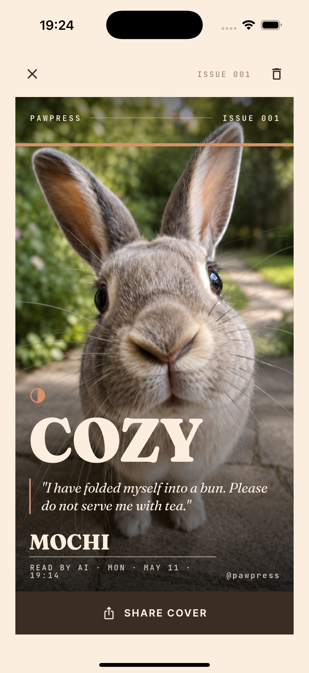 Cozy — rabbit