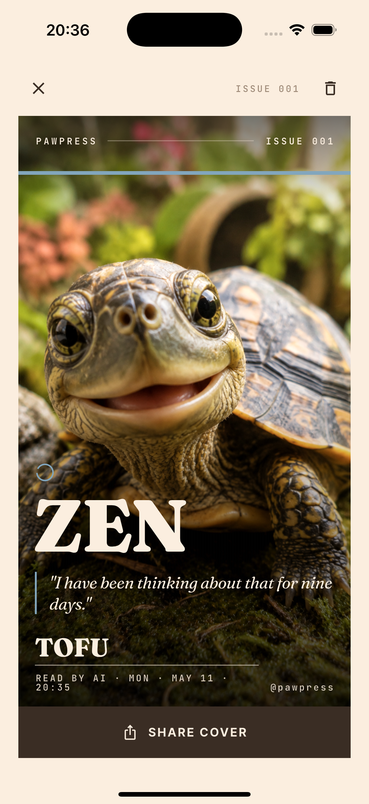 Zen — turtle